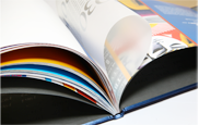 multipage_publications-1
